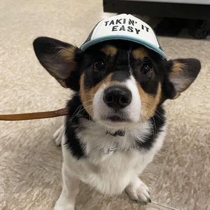 Meet your Posher, Elizabeth